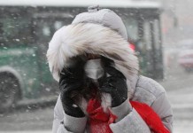 Российским водителям могут начать выдавать «снежные билеты»